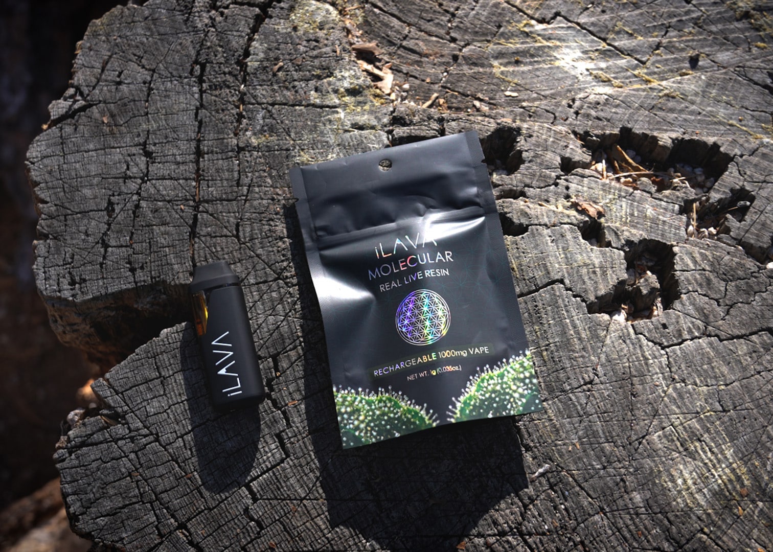 Molecular_Lifestyle_06