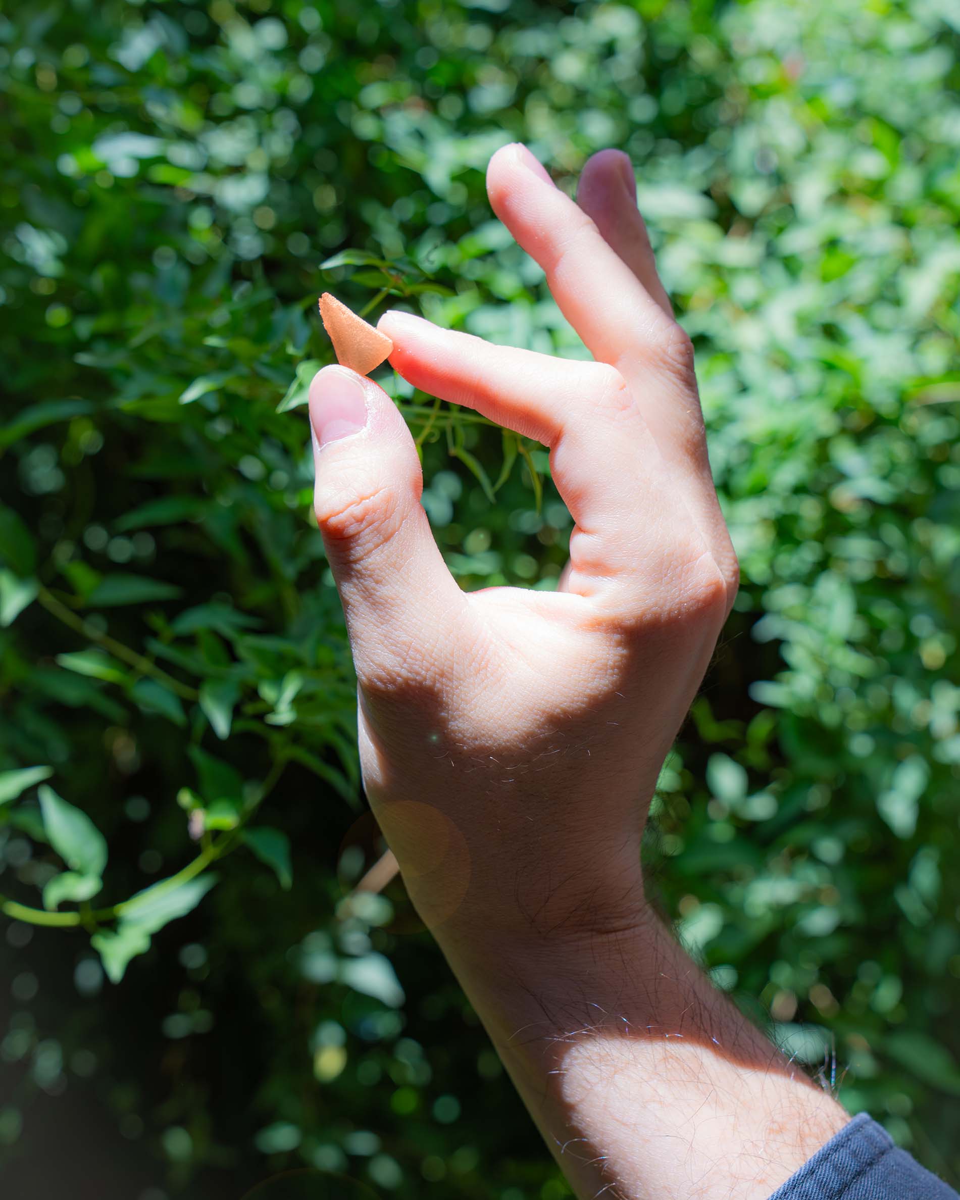 slice_in_hand